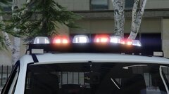PGTA5289323955.jpg
