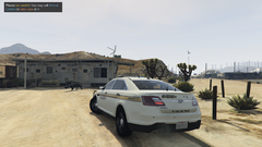 Wild Boar Trespassing