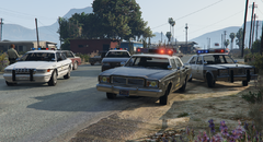 Sandy Shores Police