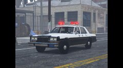 Japanese Police Diplomat.jpg