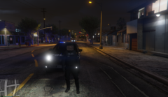 Public Order response 3.png