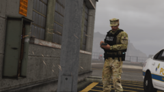 Report of Electrical Vandalism