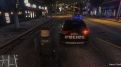 Public Order response.png