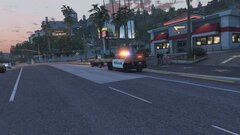 BHPD K-9 Unit On A Traffic Stop