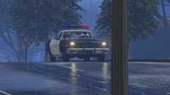 rainy Fury.jpg