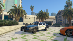 nc checking my phone.png