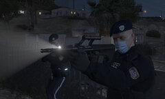 Austrian police service an arrest warrant.