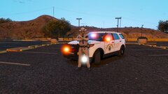 CHP 2014 Polar Bear Slicktop FPIU