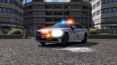 Nevada DPS 2018 Dodge Charger (Silver)