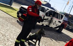 SAFR Search and Rescue K9 Unit