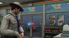 Highway Investigating