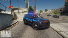 FiveM 7_6_2021 7_17_05 PM.png