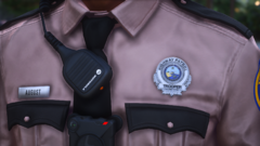 FiveM_GTAProcess 2021-08-29 21-54-50.png