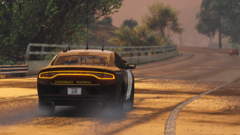 FiveM_GTAProcess_Bp981GDPFC.png