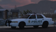 FiveM_GTAProcess_WqkkxczegX.png