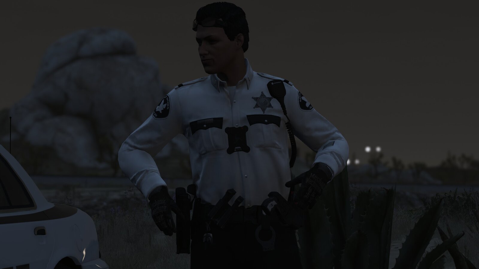 Sandy Shores Police