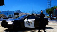 CHP 2016 Dodge Charger AWD