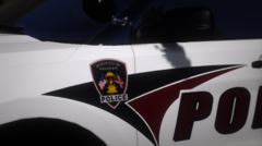 Paleto Borough Police, Car 1317