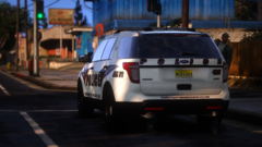 Paleto Borough Police, Car 1317