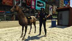 NYPD Mounted Unit