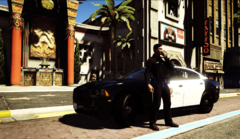 LSPD.png