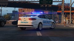 Sheriff fusion NYC - pic2.jpg