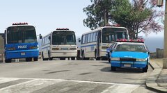 NYPD Busses