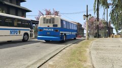 NYPD Busses