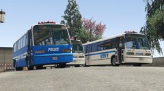 NYPD Busses