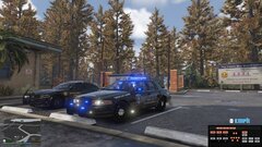 Crown Vic