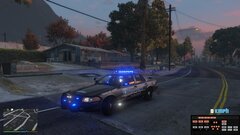 Crown Vic