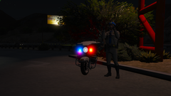 CHP 2013 Harley-Davidson Electra Glide