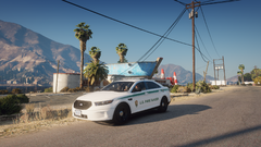 patrolling sandy shores.png