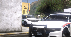 Mirror Park Police Department's response to a shots fired at LTD