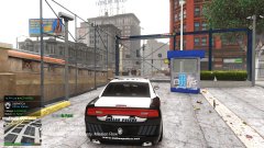 lspd season 10 episode 5 thanksgiving day patrol (1).jpg