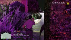lspd sesason 10 episode9 (25).jpg
