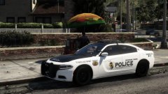 Mirror Park Police Patrol