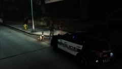 K9-Patrol