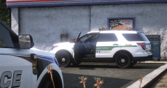 Mirror Park Police Department's response to a shots fired at LTD
