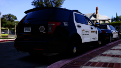 LASD Public Release #5