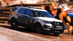 2016 WPCSO Ford Explorer Img2