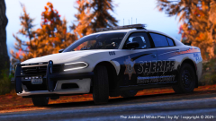 2018 WPCSO Dodge Charger Img2