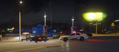 TPS Traffic Arrest 2.PNG