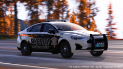 2020 WPCSO Ford Fusion Img1