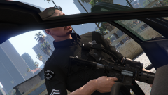 LSPD K9 | Suspect Armed With a Gun