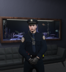 NYPD_WIP.PNG