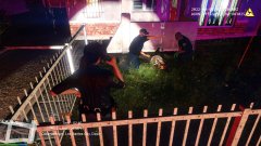 lspd season 11 ep 9 (41).jpg