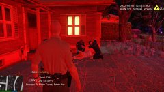 lspd season 11 ep 3 (5).jpg