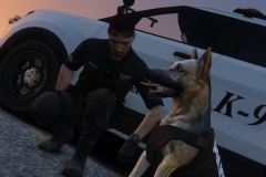 LSPD K9 | The Best Partner! (4)