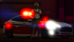 Kitchener Fire Tesla Model S